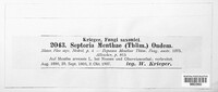 Septoria menthae image